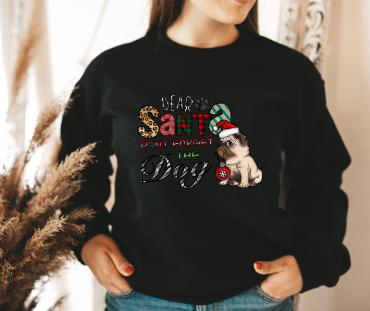 Dear Santa Dont Forget The Dog Christmas Sweatshirt1