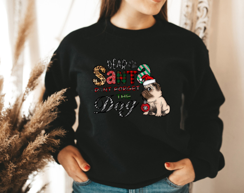 Dear Santa Dont Forget The Dog Christmas Sweatshirt1